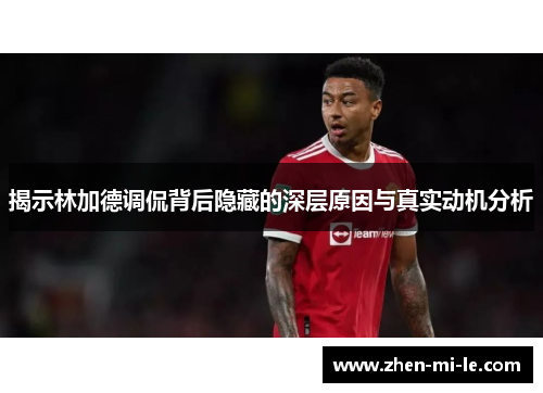 揭示林加德调侃背后隐藏的深层原因与真实动机分析