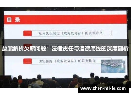 赵鹏解析欠薪问题：法律责任与道德底线的深度剖析