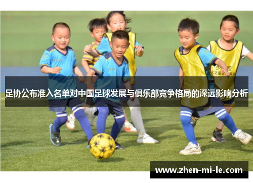 足协公布准入名单对中国足球发展与俱乐部竞争格局的深远影响分析