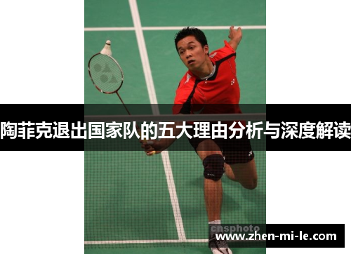 陶菲克退出国家队的五大理由分析与深度解读