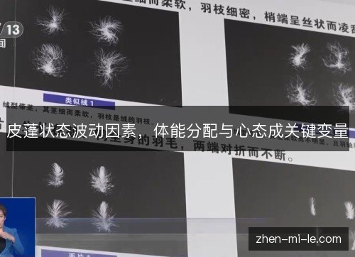 皮蓬状态波动因素，体能分配与心态成关键变量
