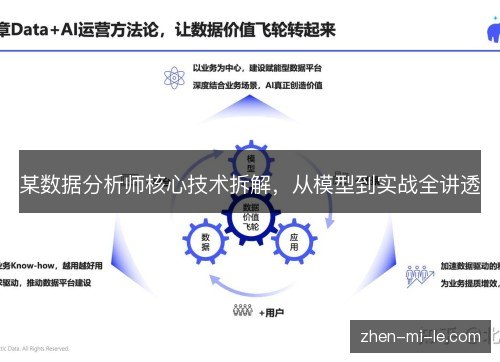 某数据分析师核心技术拆解，从模型到实战全讲透
