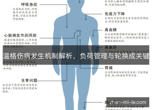 温格伤病发生机制解析，负荷管理与轮换成关键